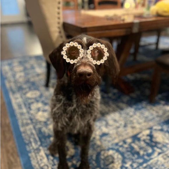 Meet your Posher, Jody - Picture 3 of 3